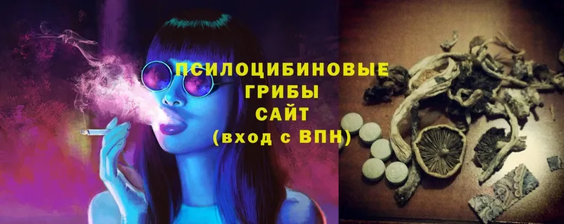 Галлюциногенные грибы Psilocybine cubensis  Ковров 